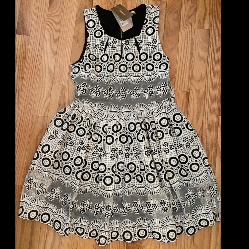 NWT Francesca’s Black and White Lace Dress